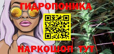 соль ск Сланцы
