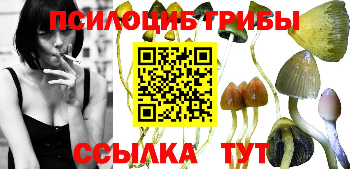 Псилоцибиновые грибы Magic Shrooms Сорочинск