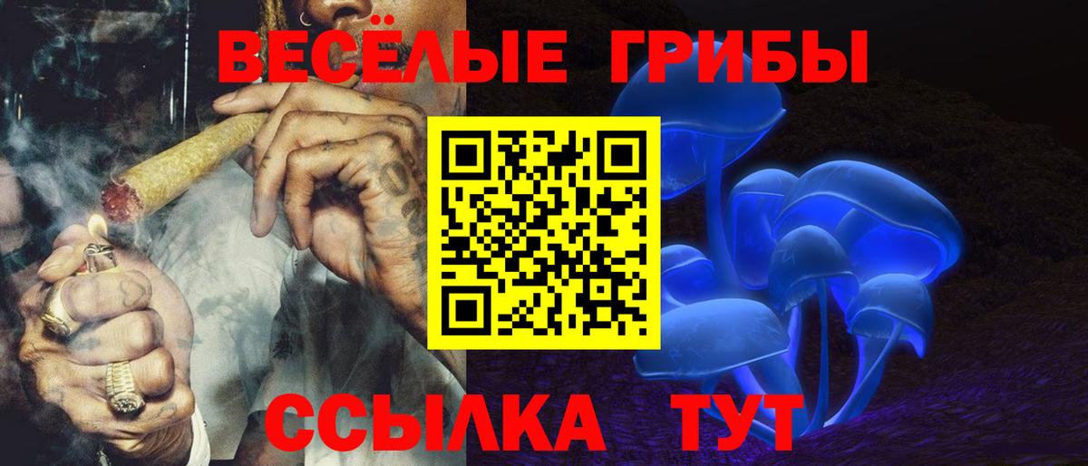 где продают наркотики  Вход с VPN  Сорочинск  Псилоцибиновые грибы Magic Shrooms  Галлюциногенные грибы Psilocybe 